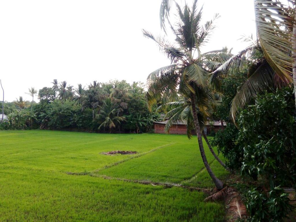 My Home Guest Polonnaruwa Exterior photo